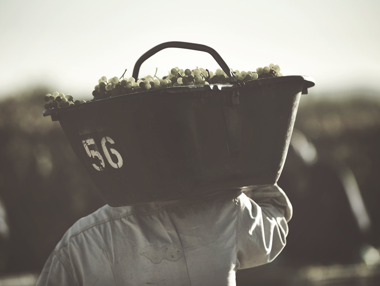 Image Gallery Les monstres sacrés