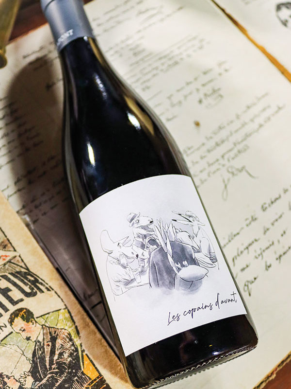 vin-rouge-x1-les-copains-d-avant