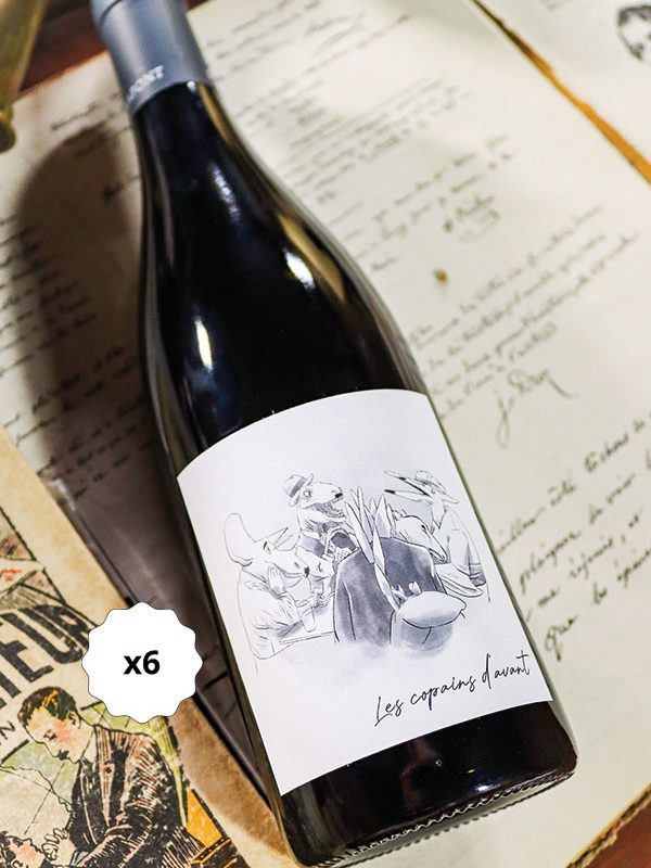 vin-rouge-x6-les-copains-d-avant2